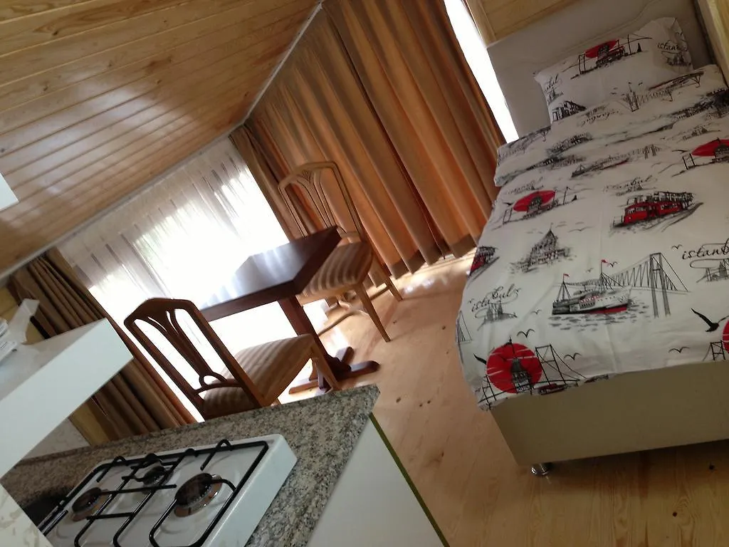 Taksimparis Apartments Istanbul Tyrkiet